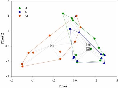 A Pilot Study: Changes of Gut Microbiota in Post-surgery Colorectal Cancer Patients